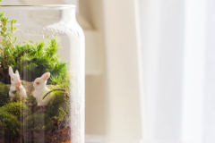 upcycling-header-900x300
