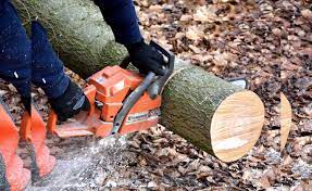Pros of Stump Grinding in Northcote