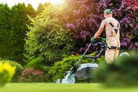 The Importance of Lawn Mowing and Garden Maintenance Services
