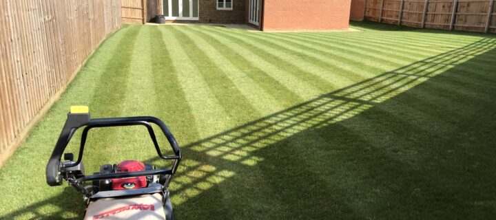 Expert Lawn Mowing Services in Croydon by Leave It to Luke