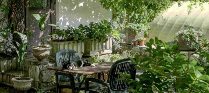 Create Stunning Outdoors with Expert New Home Landscaping Services