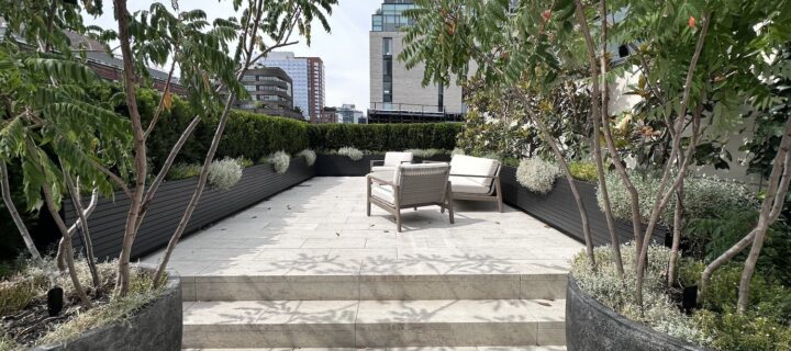 Create a Dream Garden with New Home Landscape Design
