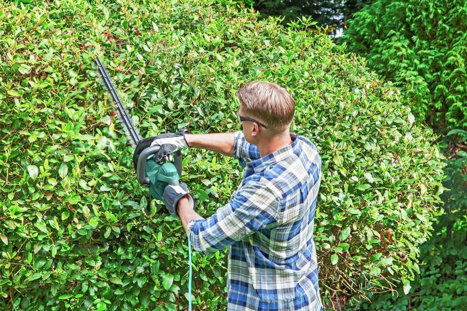 hedge reduction Sydney