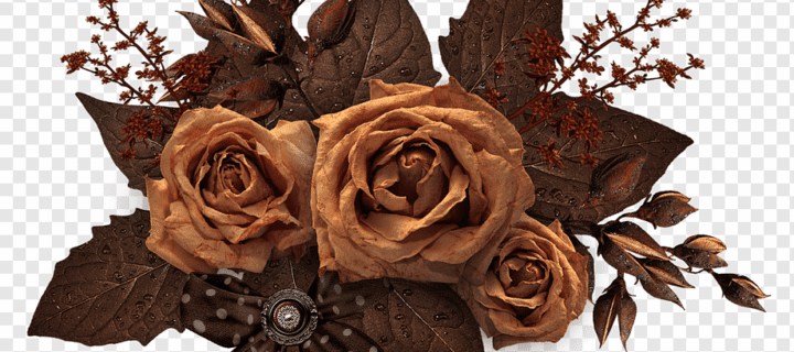 Top Benefits of Choosing a Dried Flower Bouquet in Melbourne