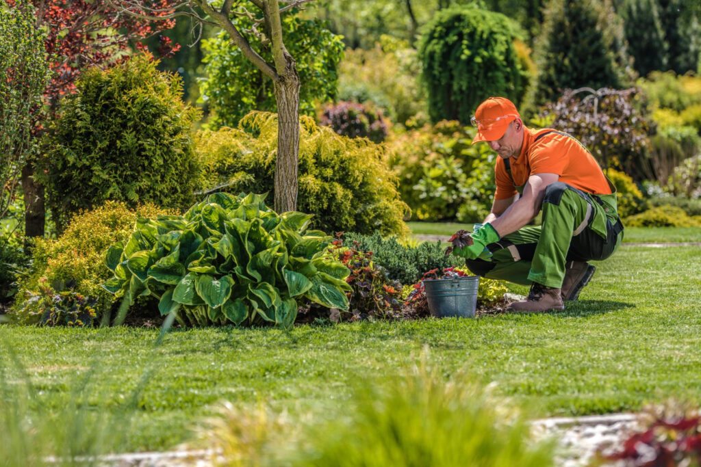 Gardening Services for NDIS