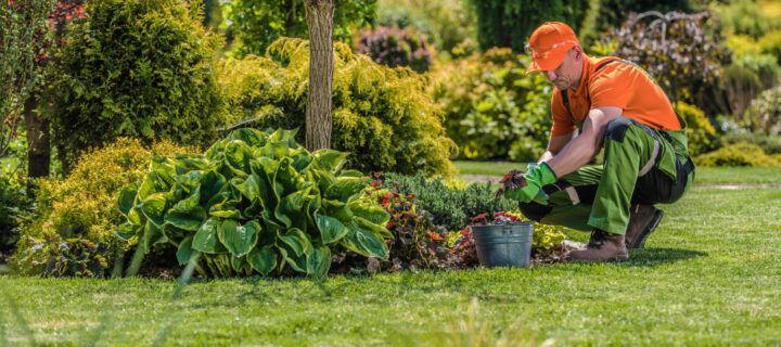 Benefits of Hiring Trusted Gardening Services for NDIS Recipients