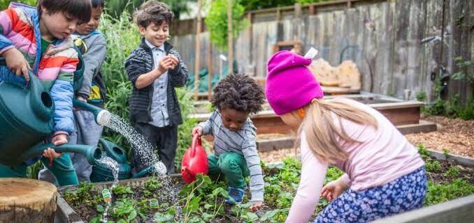 Finding Skilled Experts in Childcare Landscaping in Melbourne